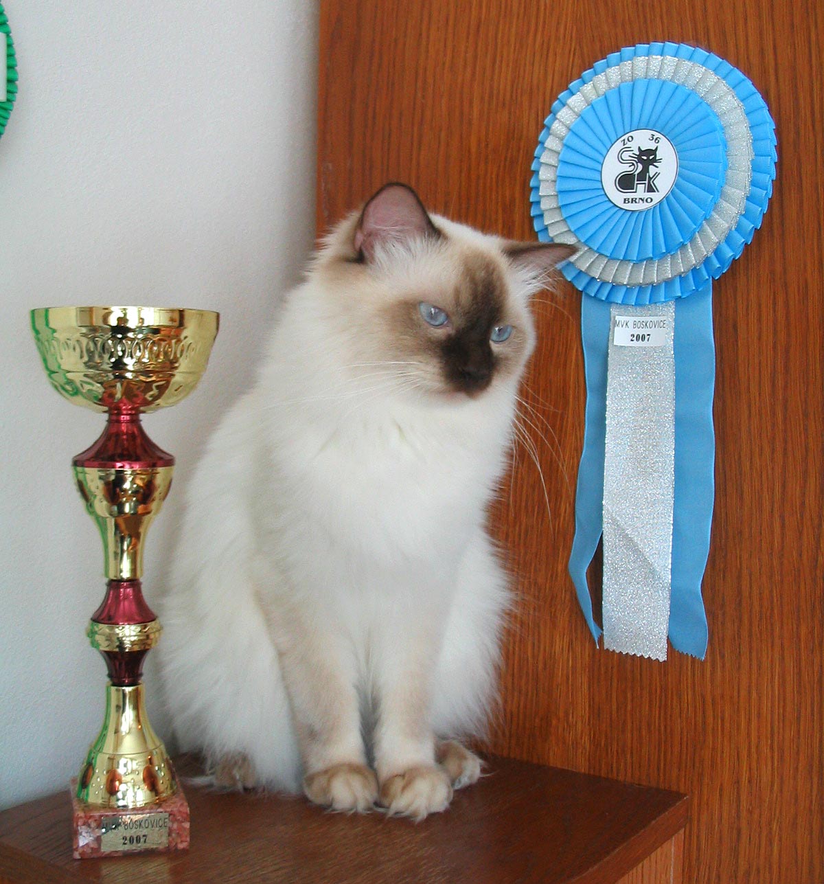 Padruig Polo, RAG b - CAC 